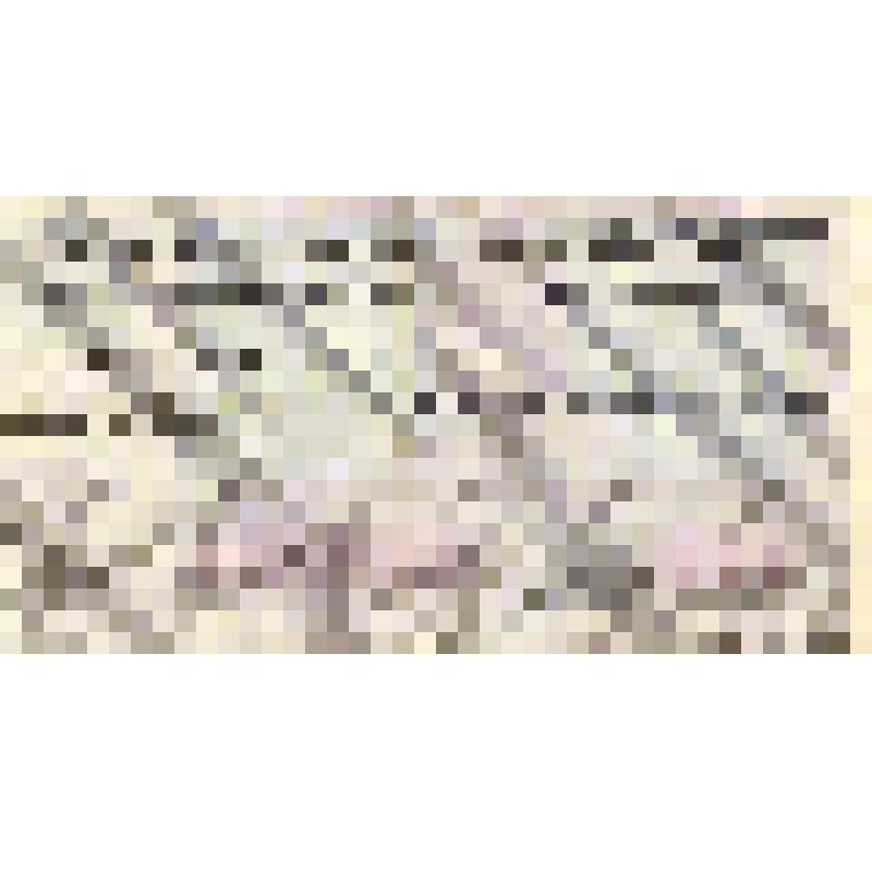 Билет лотереи ДОСААФ