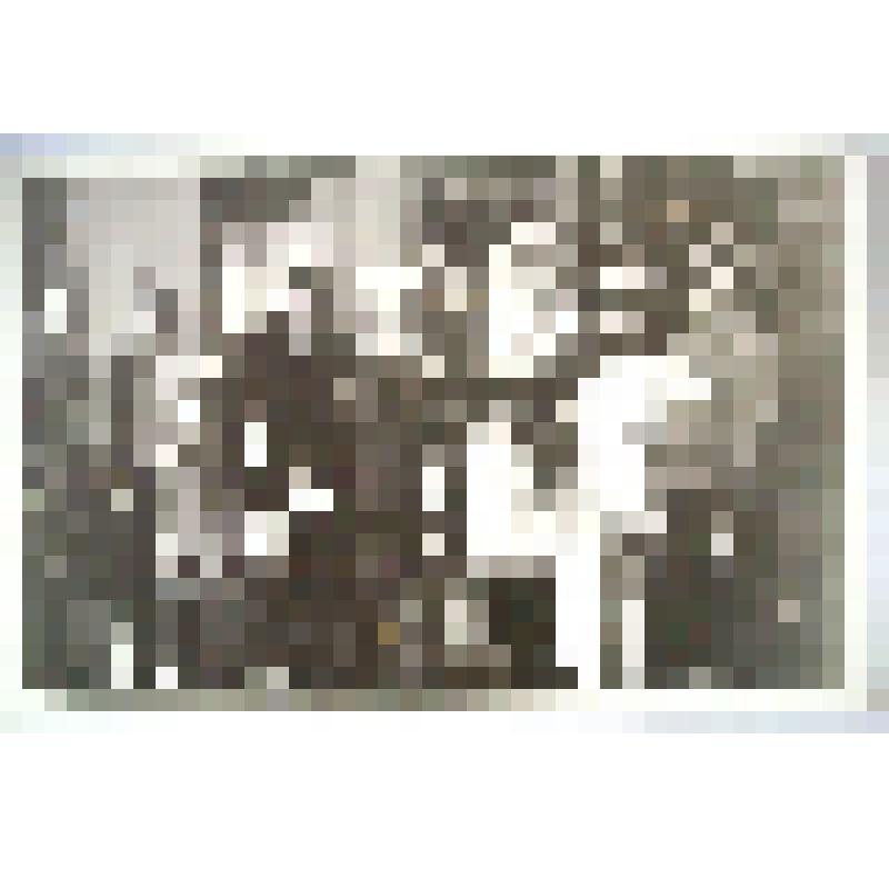 Фото участников  детских новогодних утренников и новогодних "Огоньков" во  Дворце культуры им.Гагарина