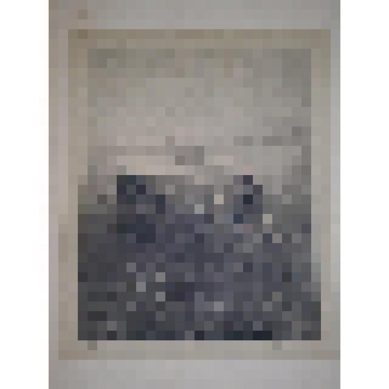 Иллюстрация. Иллюстрация к поэме А.С. Пушкина «Руслан и Людмила». Руслан и голова