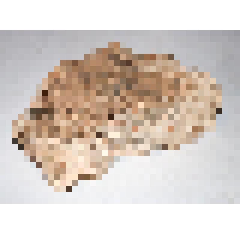 Пола второго фрагмент-"заплатка" . Софийский собор, Мартирьевская паперть