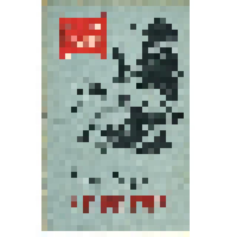 Книга. Сибиряк