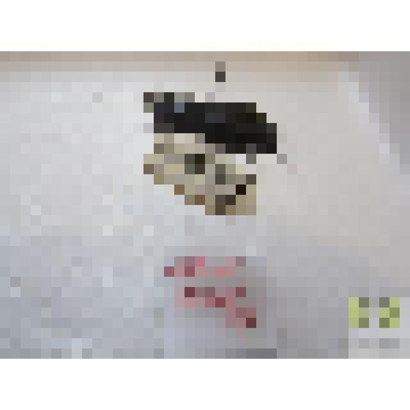 Жужелица выпуклая (Carabus convexus L.)