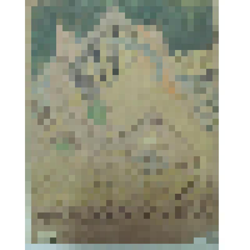 Орнамент. Проект плаката к  сельскохозяйственной  выставке. Рисунок