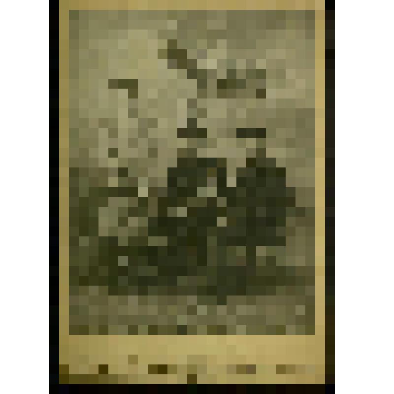 Фотография. Бахрушин А.А., Бахрушина В.В., Постников Владимир Васильевич в Неаполе