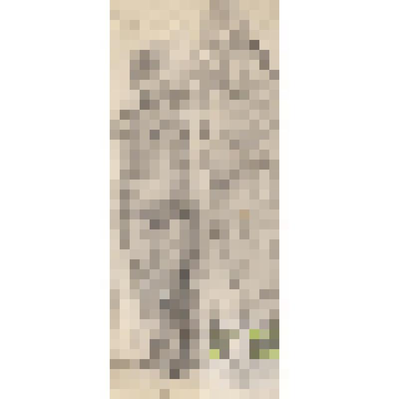 Набросок. Купальщицы