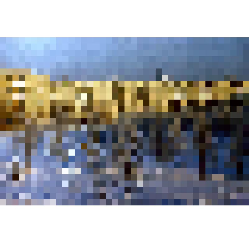 Диапозитив. (394)