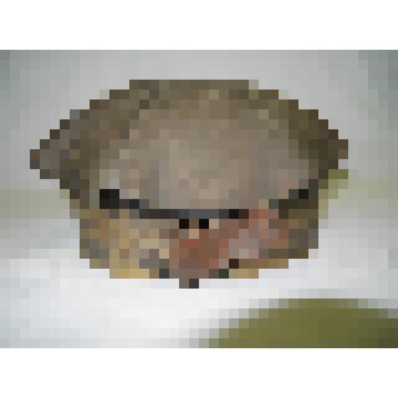 Каска горняцкая