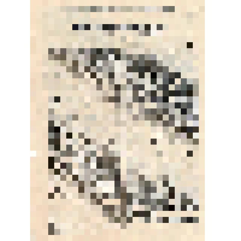 Российская социал-демократическая рабочая партия. Московский  объединенный  окружной комитет РСДРП. Новый подарок царя народу. О государственном совете