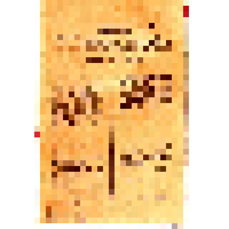 Приказы военно-революционного комитета Петроградского совета рабочих и солдатских депутатов