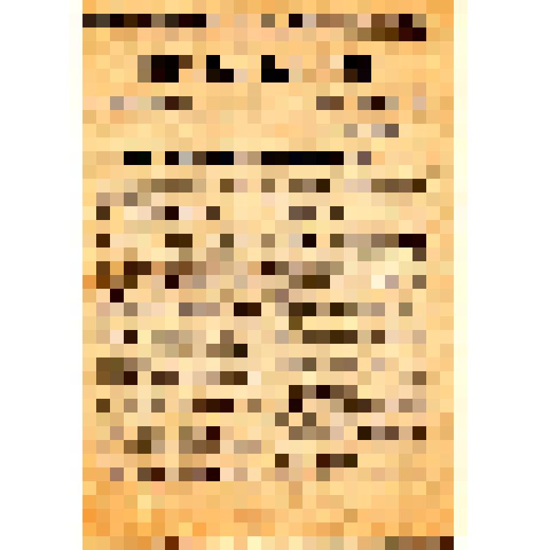 Главное политическое управление Красной армии. Отдел печати управления агитации и пропаганды ГЛАВПУРККА. Пресс-бюро. Для фронтовых, окружных, армейских и дивизионных газет. Елена Кононенко. На фашистской каторге