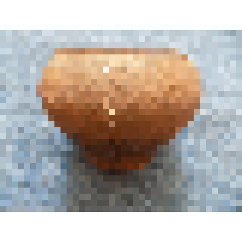 Чугунок эмалированный