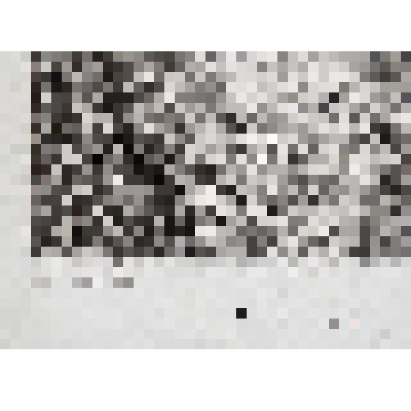 Привидение ("A Ghost"). Гравюра