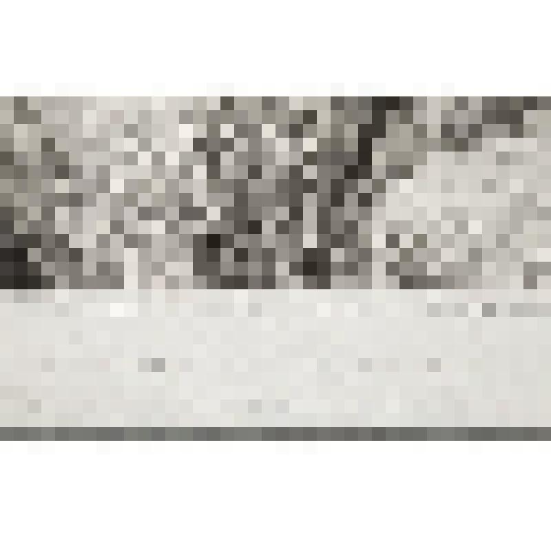 Привидение ("A Ghost"). Гравюра