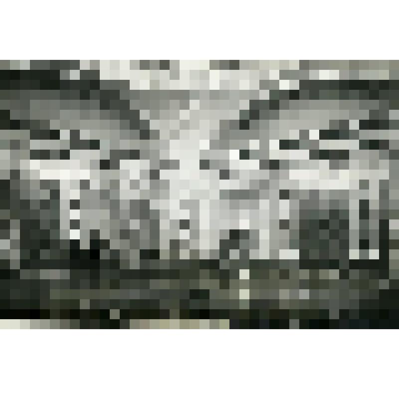 Фотография. Вестибюль станции метро «Центральный парк культуры и отдыха имени М. Горького»