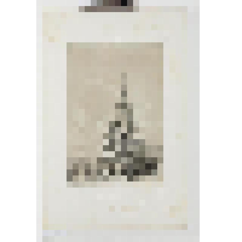 Литография. "Казань. Крепость. Никольский собор. В Гостином дворе."