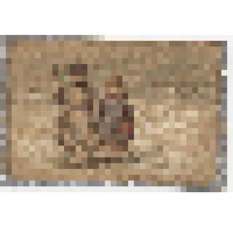 Открытое письмо художественное "Купим себе деревеньку, да заживем помаленьку!"