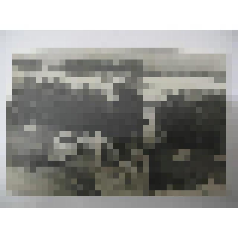 Парк. Усадьба Архангельское. 1790-е гг, 1829 г. Московская обл, Красногорский р-н. Усадьба Архангельское. Парк, 1790-е гг, 1829 г. Тромбаро Д.; Дрегалов В. Г. Вид с террасы на долину реки Москвы