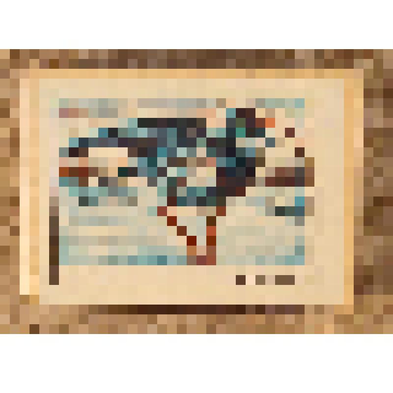 Коробок спичечный сувенирный "Серпоклюв", из набора спичек сувенирного "Занесены в Красную Книгу СССР". 1982 г