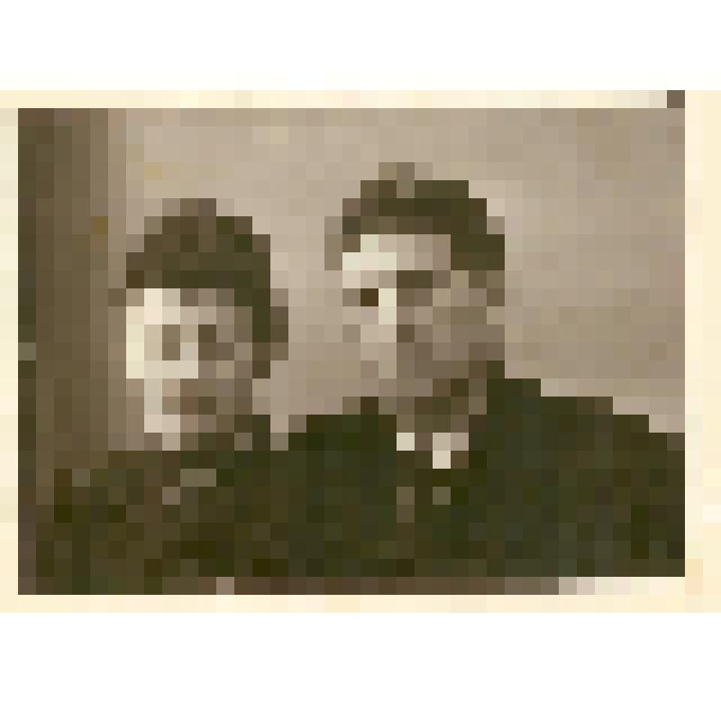 Фотография. Кнейчер Ф.В. с супругом Дальским Е.И