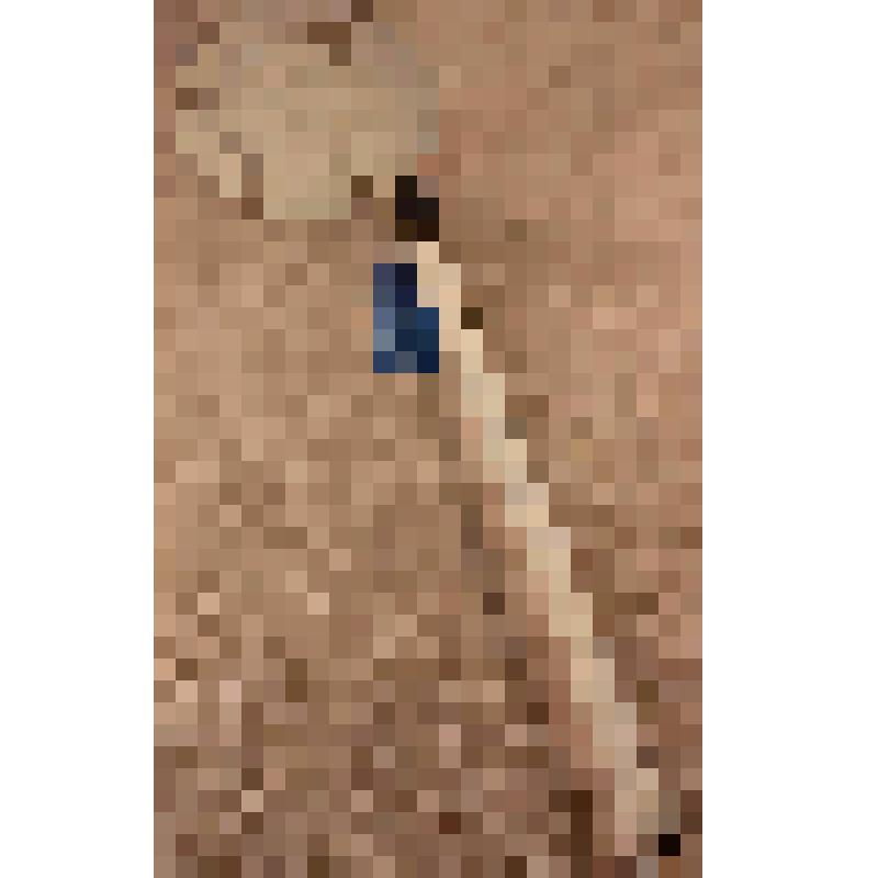 Шумовка эмалированная, из коллекции бытовых вещей семьи Бугаенко Павла Андреевича, профессора филологического факультета Саратовского государственного университета