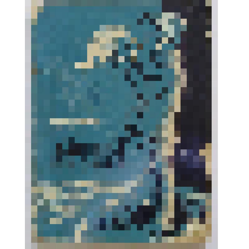 Книга "Хаюлла пионер"/ Эльби В