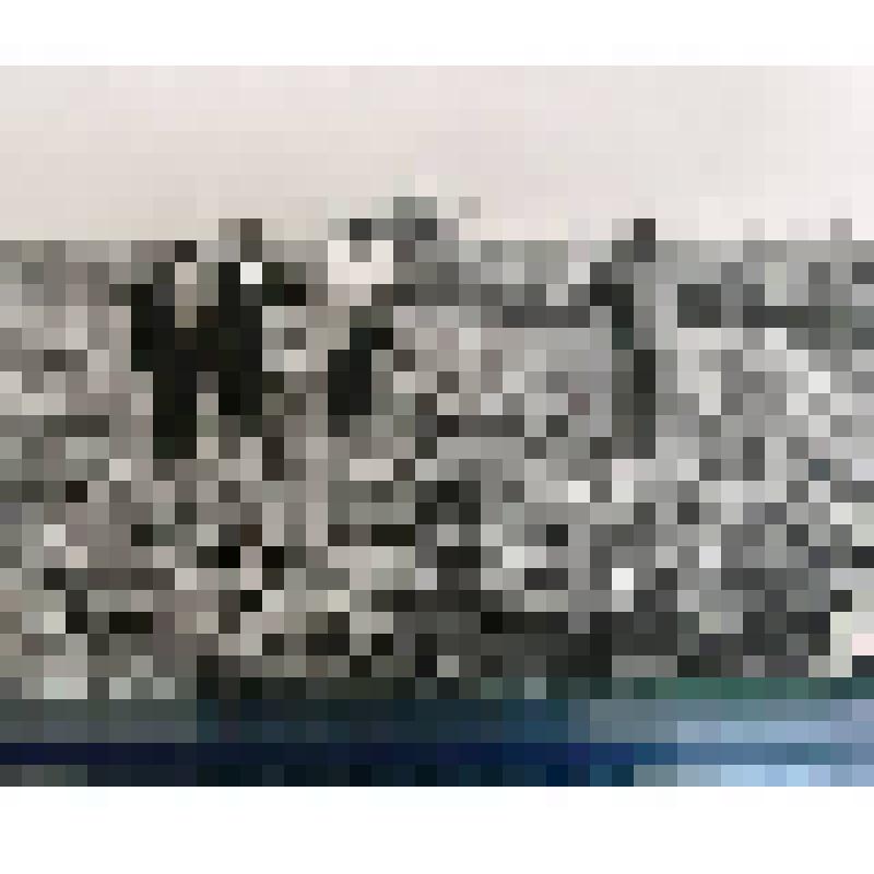 Фотография."Е.С. Савченко с группой специалистов сельского хозяйства на полях одного из Белгородских колхозов"