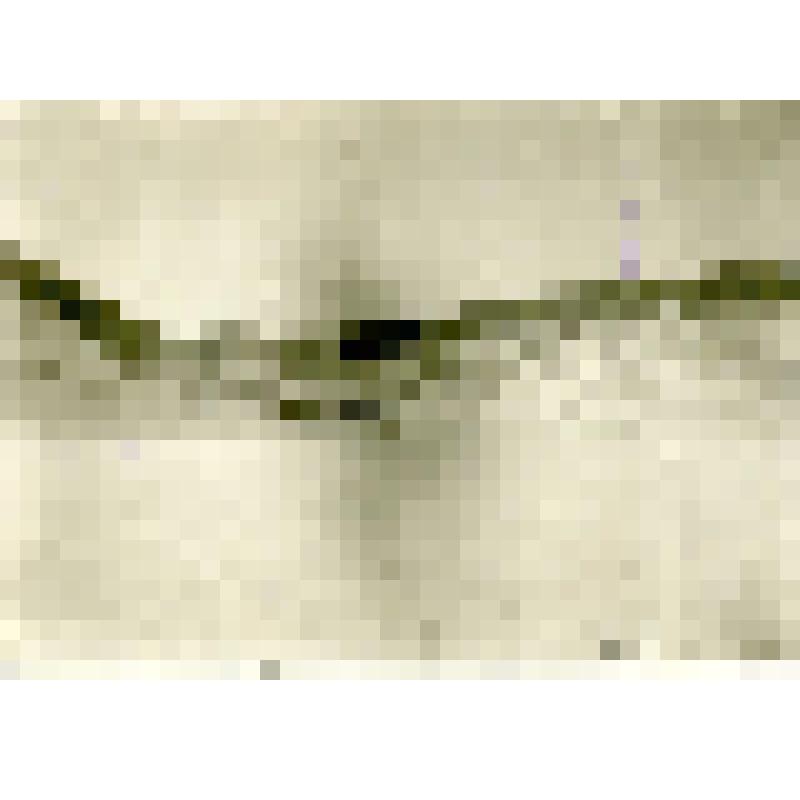 Фотография. Река зимой