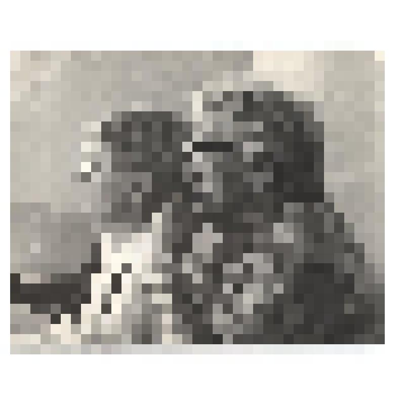 Фотография групповая. Трунова И.А и Игошина О.А. - члены Союза журналистов СССР на конференции журналистов области