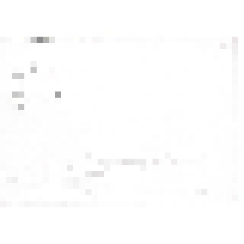 Фотография. Максимовы (правнучатые племянники Д.И.Менделеева) в Кратове