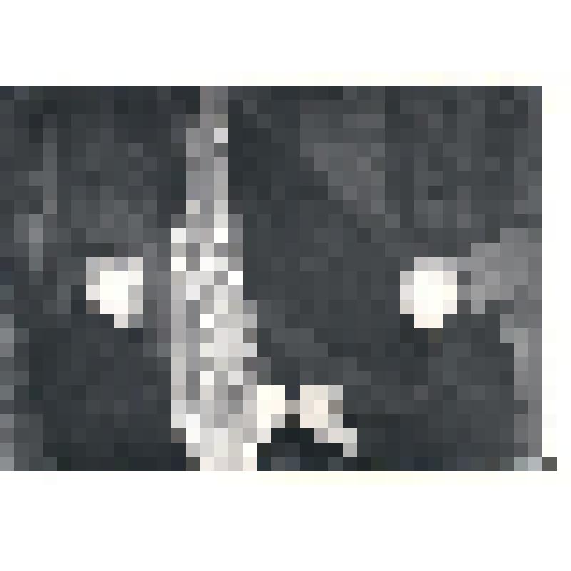 Фотография. Гарифуллин Гафият и Зарипов Рим Ибрагимович первый секретарь Кукморского райкома КПСС. из серии «Слёт -  1983 г.»