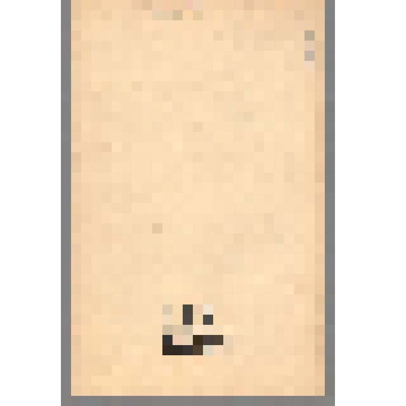 Журнал. Вопросы истории