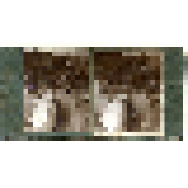 Карточка для стереоскопа «Поперечные трещины во льду ледника Б. Азау». Из коллекции «Кавказ» с видами природы Западного Кавказа, серии 3-№32. Автор фото Н.Л. Минервин