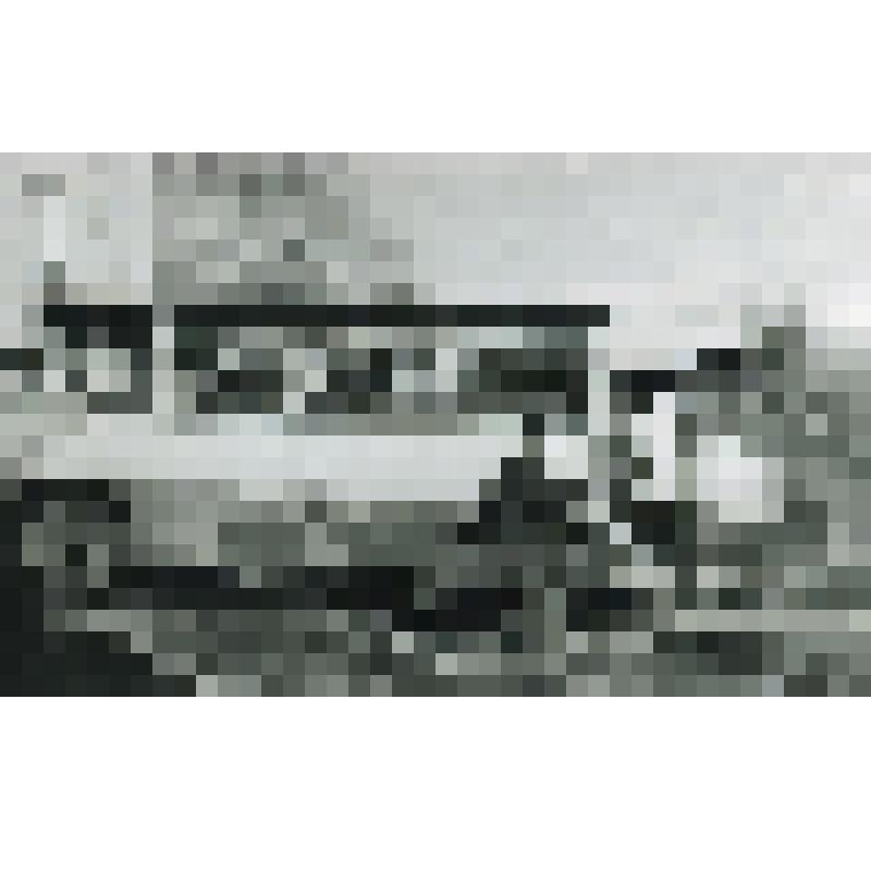 Фотокопия черно-белая групповая. Проводы отдыхающих санатория «Ливадия»