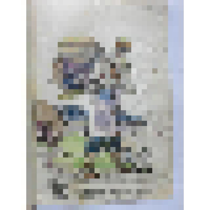 Альбом с проектными чертежами, с эскизами, зарисовками архитектурных памятников и деталей, произведений скульптуры и декоративно-прикладного искусства, пейзажными зарисовками, тематическими рисунками исторического жанра и по мотивам воспоминаний детства и