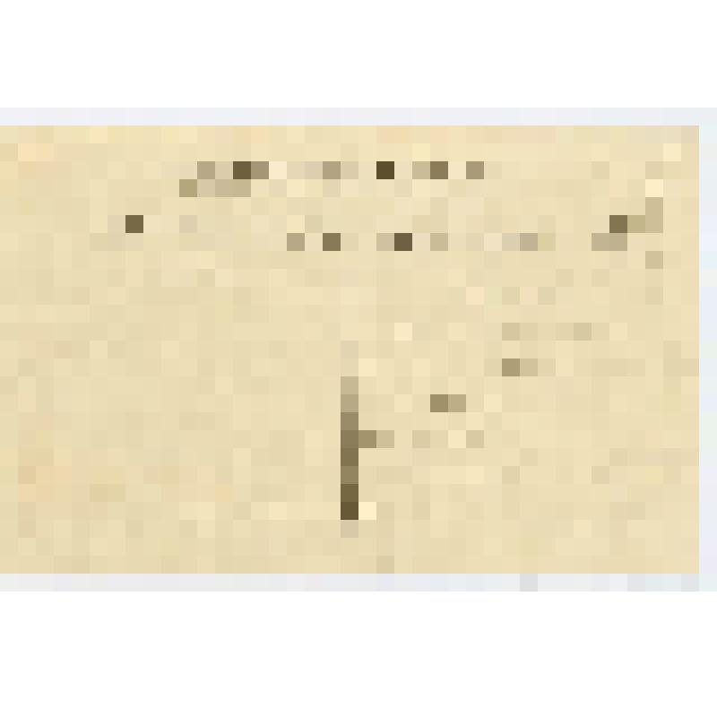 Открытка. Лев Николаевич Толстой. Ясная Поляна, лето 1905 г