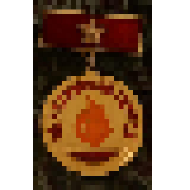 Нагрудный знак "За активный поиск"