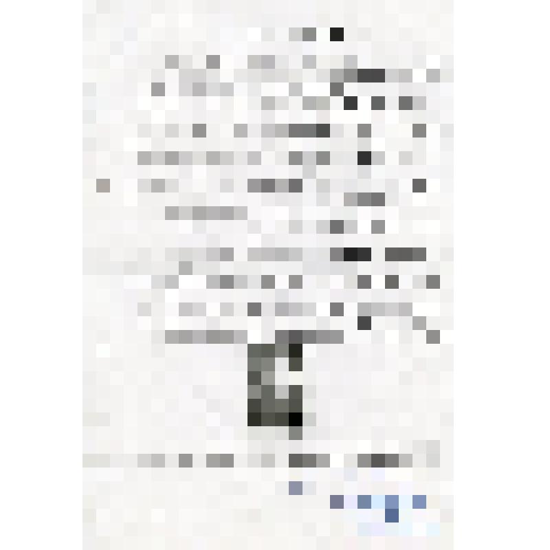 Воспоминания. "Город нашей любви" А.дёмин