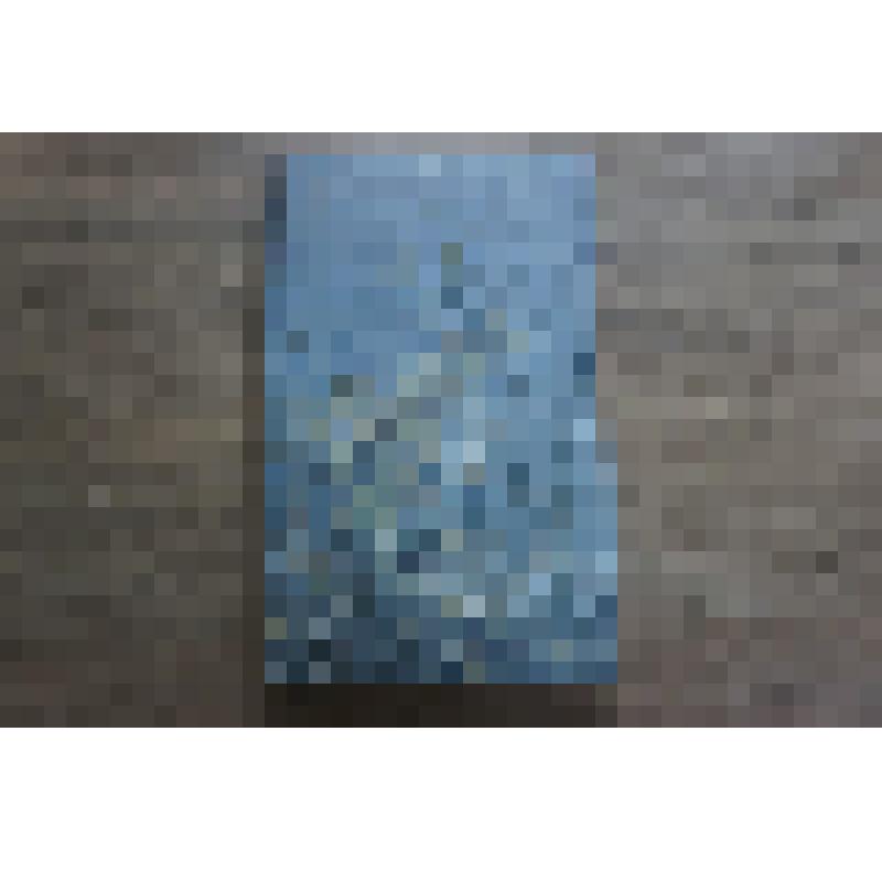 Фотоальбом "Душа моя, все мысли мои в России: И.С. Тургенев в Спасском-Лутовиново"