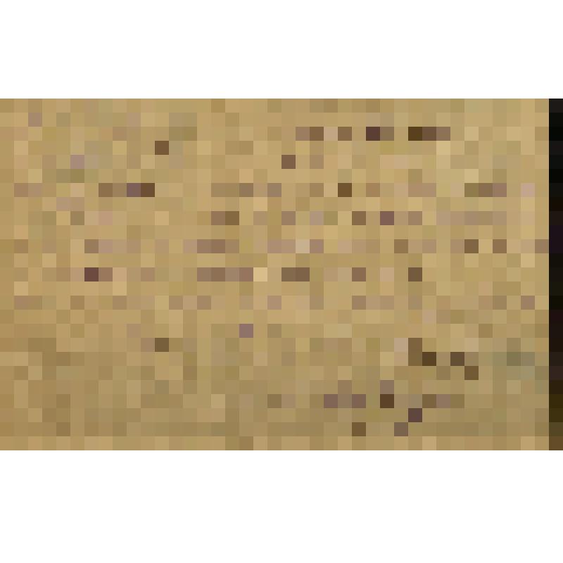 Письмо благодарственное балерине А. Иллюминарской (Тютик) от ячейки иги помощи голодающим детям Германии