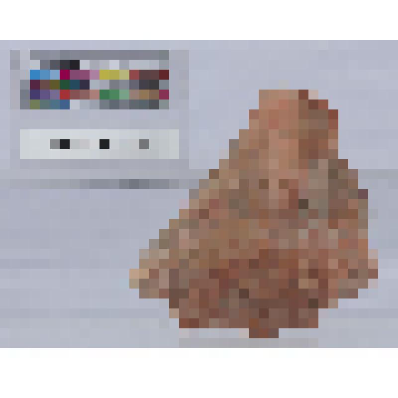 Фрагментированная протома богини в калафе с руками на груди