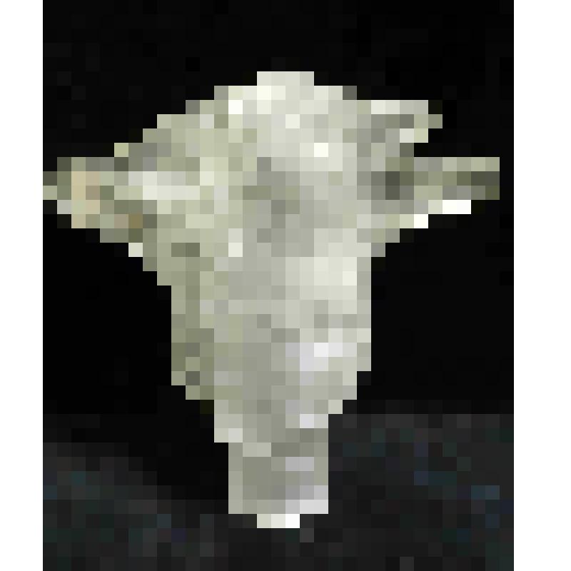 Форма средняя из композиции "Айсберг"