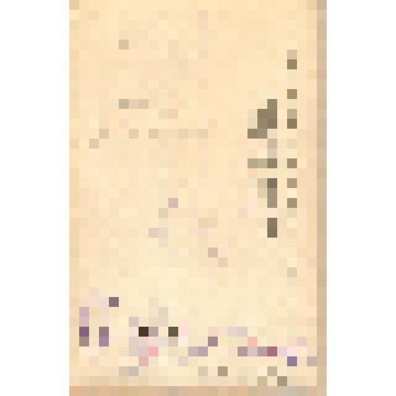 Фотооткрытка. Г.Г. Ге в роли Мефистофеля