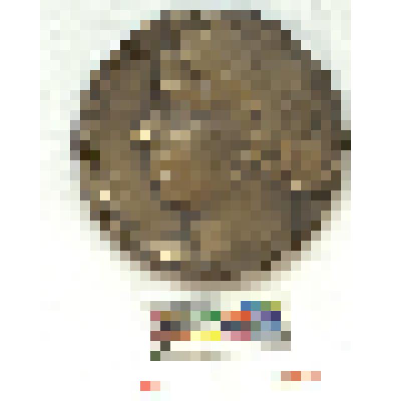 СССР. Медаль. 100 лет со дня рождения В.Р. Комиссаржевской. 1964 г