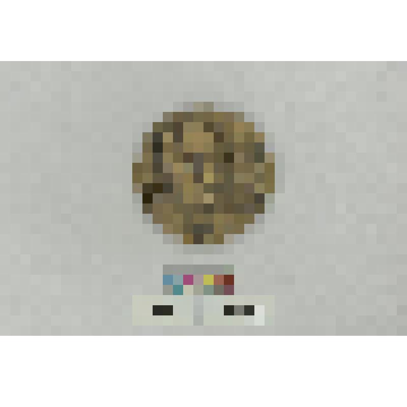 СССР. Медаль. 100 летие со дня рождения А.Н. Туполева от международной федерации аэронавтики