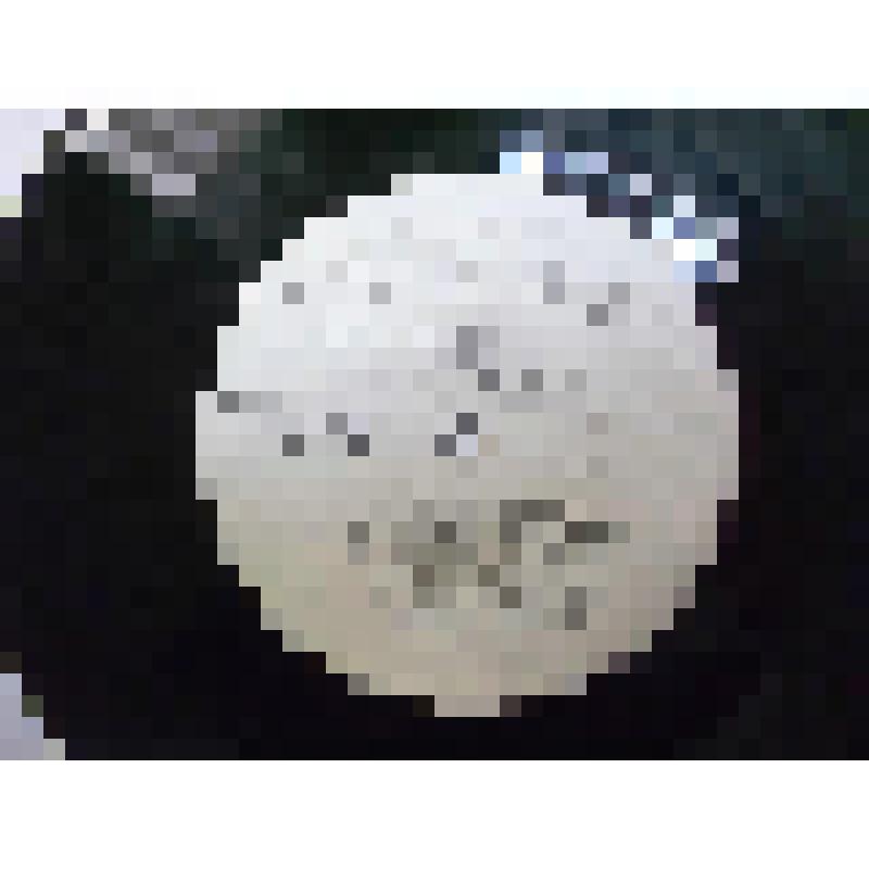 Пластинка виниловая. Людмила Зыкина. Ташкентский завод. Всесоюзная фирма грампластинок "Мелодия"