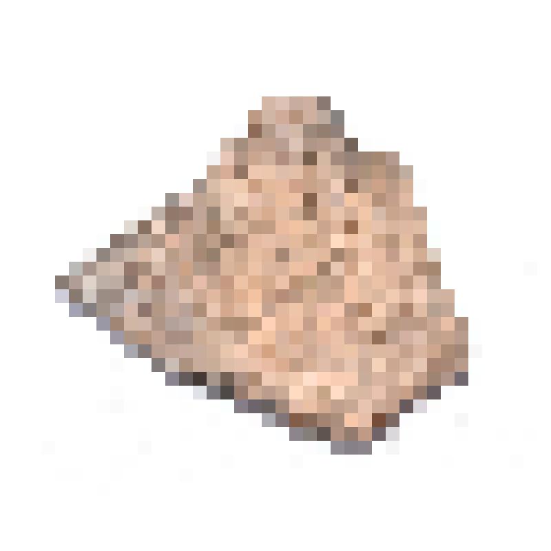 Сосуд (фрагмент)
