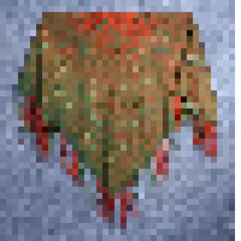 Платок головной женский