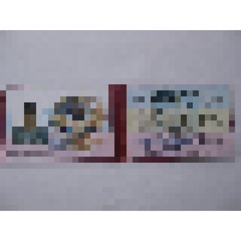 Удостоверение казака-дружинника №044 старшего урядника Махина А.А. от 01.06.2010г.г.Калач н/Д