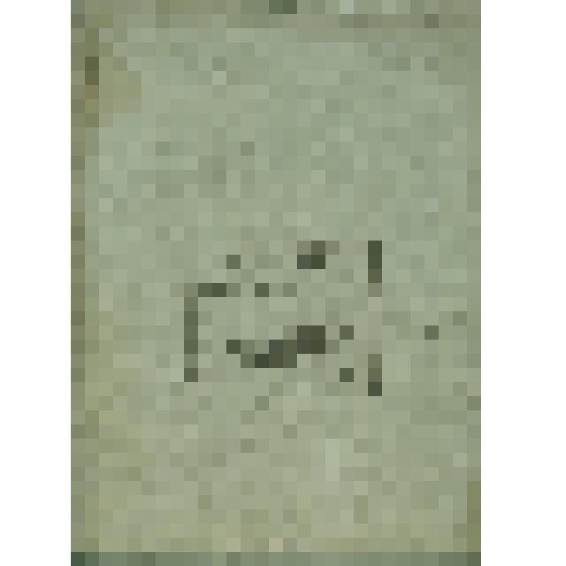 Журнал  Сольвычегодского  Духовного  правления