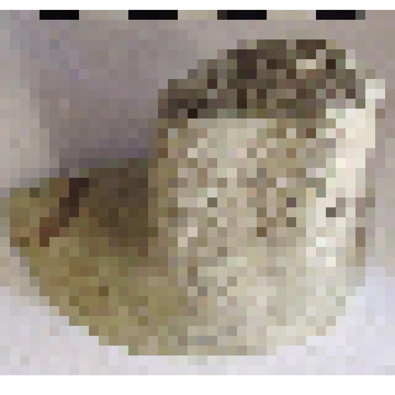 Фрагмент плеча с частью ручки амфоры типа D с дипинто